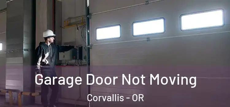  Garage Door Not Moving Corvallis - OR