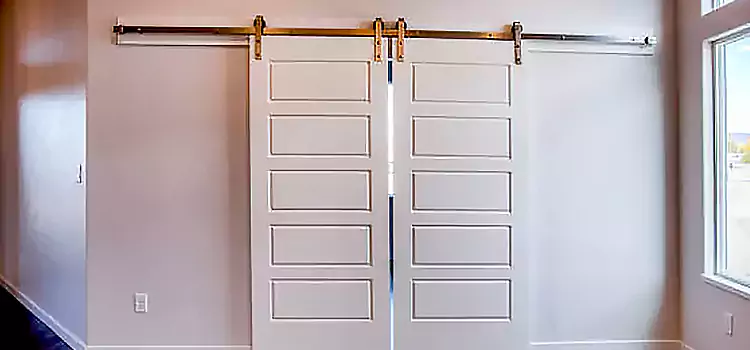 Glass Barn Door with Installation Hardware Kit Corvallis